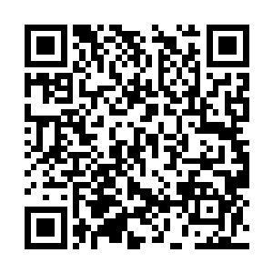 故意将这座蕴含着你大量信息的数据库给调取走了二维码生成