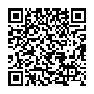 故而大家在酒筵上都借着酒劲一一表明了自己的态度二维码生成