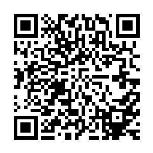敌人是星球上一种可怕的原住民――危险系数四级的一种凶兽二维码生成