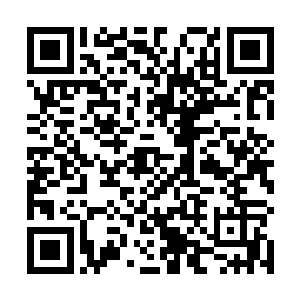 敏之却是实打实被陆枚兄妹给害了……陆铣如今的结局二维码生成