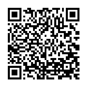 敖液这老泥鳅连林封谨都可以算计到的人会卖出这么大的破绽吗二维码生成