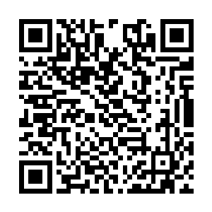 教皇竟然可以将他们都请来这实在是太不可思议了二维码生成
