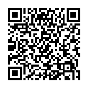 敢在我白魔王庭眼皮子底下夺取世界的一定是一名绝强者二维码生成