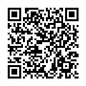 数以百万计的魔化傀儡在城外和城内的尸体之中游荡着二维码生成