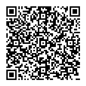 数十具活尸脚下机械的却又十分自然从林子里山脚下看上去慢可又十分快速的朝我们涌了过来二维码生成