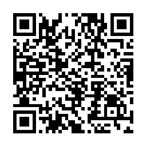 数百万的修士朝着那只有五十万左右的罗浮仙军涌了过去二维码生成