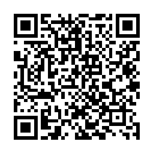 数百名离宫主教以及从各道殿赶回来的主教站在他们的身后二维码生成
