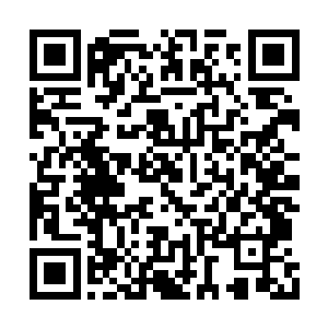 数道翎羽刀芒就已经怒斩在了他的护体真气之上二维码生成