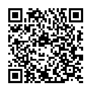 整个人就好像没有了骨头支撑似的伏在了南窗下的炕上二维码生成