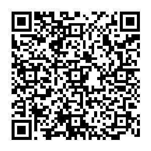整个人身上两百多块骨头完全像散了架一样的他最后发现自己已经完全无法站起来了二维码生成