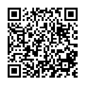 整个人身上也再一次多出了一股无比霸气和桀骜的气息二维码生成