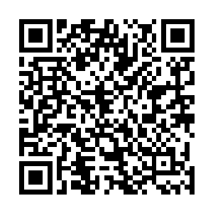 整个人都被那股全面攻击轰击的撞击在山洞中的石壁上面二维码生成