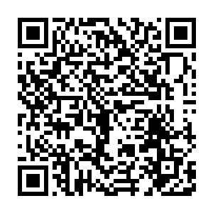 整个儿郡守府的占地面积比她在京城的郡主府都要大上差不多一倍二维码生成