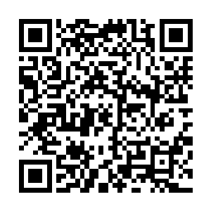 整个冰雪荒原中所有的熊级部落领导者的神经就开始绷紧了二维码生成