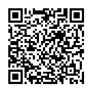 整个团队就一直在交流和总结着最近一段时间的宣传成绩二维码生成