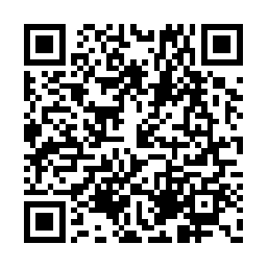 整个小巷中挤的密密麻麻的全是黑暗种族的战士二维码生成