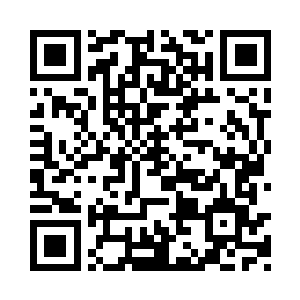 整个眷仙殿的一切都仿佛是和她牵连在一起的二维码生成