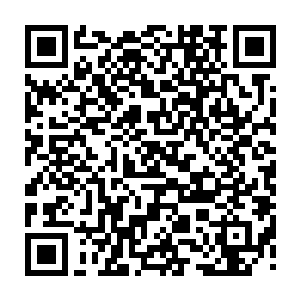 整个神圣大礼堂只留下了那一片挥洒不去的烦躁和闷热在空气之中缓缓沉淀二维码生成