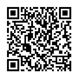 整个虚炎宇宙到现在据说只有一个度过了八次天劫的八转散仙二维码生成