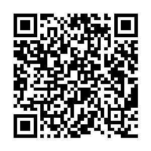 整个议事大殿还没有那无头独臂独腿巨人的半条腿高二维码生成