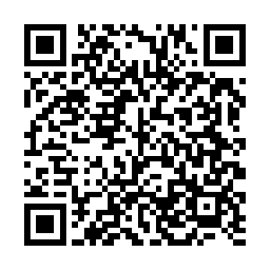 整个诸天百界无数的强者在这一刻朝着死亡北海涌去二维码生成