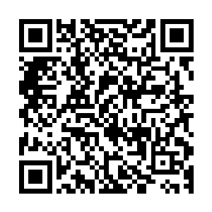 整个道医的群体都已经有很多年没有获得过同界大比的冠军了二维码生成