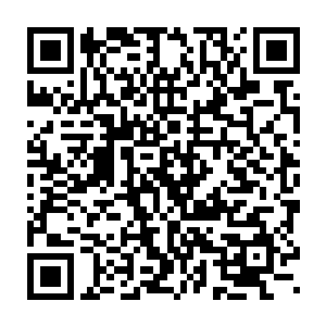 文森特当然知道没有了三大战将的菲德尔家族根本抵抗不了血月攻击二维码生成