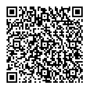 斯伯年直接派了鲁白跟另外一个护卫将柳怡跟被捆得五花大绑的寒香送回到柳家二爷住的地方二维码生成