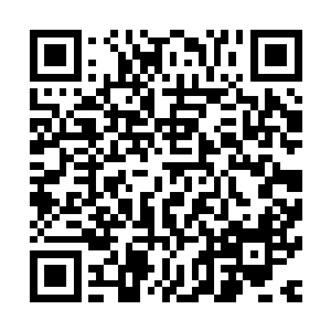 新报到的数名年轻人正与在这边管理部分事务的宁曦坐在一块二维码生成