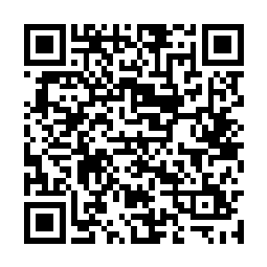 新月太后黄文娟在江帆的帮助下废掉小皇上称帝了二维码生成