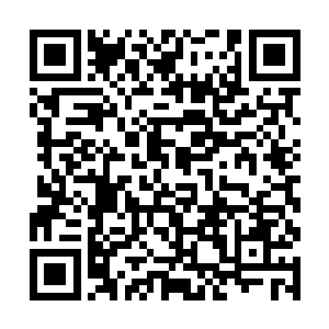 方凌忘不了柳帝王和桐冠道人两个人握手言和的情形二维码生成