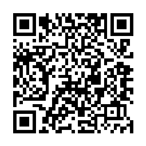方才听到白硫亦受伤的消息时确实让她有一瞬间的晕眩二维码生成