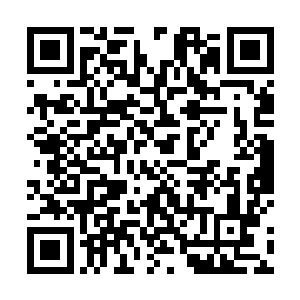 方运以及众多高文位读书人再次来到宁安城的北城墙上二维码生成