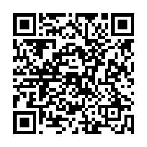 方运正在读房的六品县伯官印突然形成奇异的波动扩散二维码生成