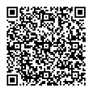 旁人或许会觉得这只是一本普通的书　但若是让人知道这是远古一位大能的传承的话　又不知会做何感想了二维码生成