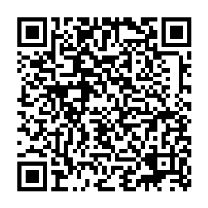 旁侧那位明明长相也是不俗的叶柳衣便是如同黄花菜一般被比出来了二维码生成
