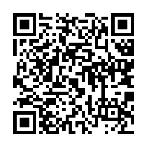 旁边的站着的林封谨和天狼两人也是不会让它有机会逃走的二维码生成