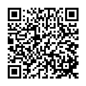 旋即又开始有兴趣逗弄逗弄挂在自己身上的这个傲娇小家伙……二维码生成