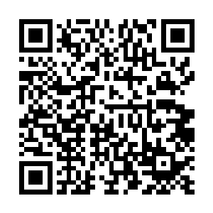 族长死去整个龙族只有靠着少主才可恢复当年的辉煌摸样二维码生成