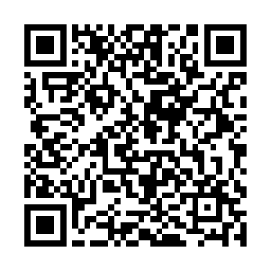 族长那巨大的圆溜溜金色眼睛复杂的看了一眼流墨墨二维码生成