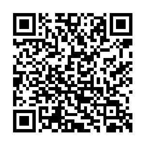 旗下制作或者签订发行合约的影片每到一个进度二维码生成