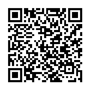 旗子上面稍微有些立体感的黑老虎就会不断地张牙舞爪二维码生成