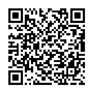 无一不把坚强的求生意志做为能够成功的必要条件二维码生成