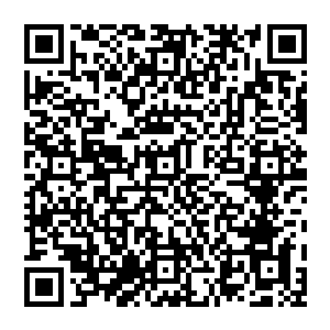 无上神界那个遥远的神界古神多入牛毛天神纵横四方甚至还有神帝那般的恐怖存在抬手遮天可覆灭世间一切二维码生成