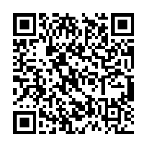 无双域主是被某一任归墟之主慧眼识珠挖掘出来的二维码生成