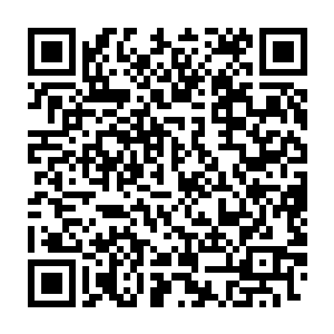 无尽海域和科基斯坦丛林之中一些主要禁地和死地的资料记在了心中二维码生成
