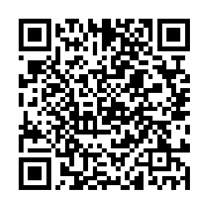 无尽的破碎道痕如流水一般在它体表反复循环流淌着二维码生成