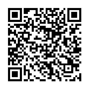 无数半透明的菱形水晶立刻从四面八方飞到了他的面前二维码生成