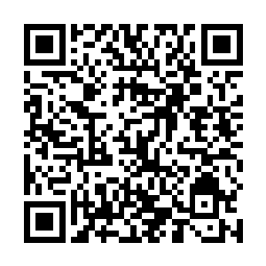 无数只长得像牛的肠子一样的虫子从无光黑暗中爬出来二维码生成