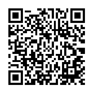 无数嘈杂的声音汇集在一起像是要把那透明的穹顶给掀翻一般二维码生成